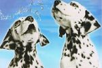 Watch 101 Dalmatians Sing Along Wolowtube
