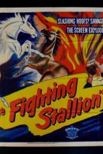 Watch The Fighting Stallion Wolowtube