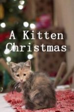 Watch A Kitten Christmas Wolowtube