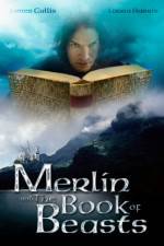 Watch Merlin and the Book of Beasts Wolowtube