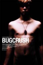 Watch Bugcrush Wolowtube