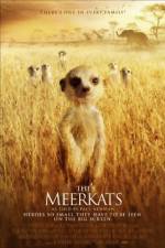 Watch The Meerkats Wolowtube