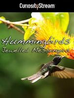 Watch Hummingbirds Jewelled Messengers Wolowtube