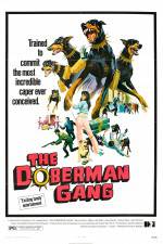 Watch The Doberman Gang Wolowtube