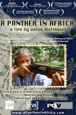 Watch A Panther in Africa Wolowtube