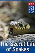 Watch The Secret Life of Snakes Wolowtube