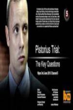 Watch Pistorius Trial: The Key Questions Wolowtube