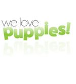 Watch We Love Puppies Wolowtube