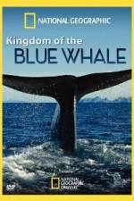 Watch National Geographic Kingdom of Blue Whale Wolowtube