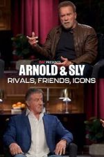 Watch Arnold & Sly: Rivals, Friends, Icons Wolowtube