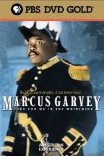 Watch Marcus Garvey: Look for Me in the Whirlwind Wolowtube