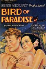 Watch Bird of Paradise Wolowtube