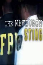 Watch The Newburgh Sting Wolowtube