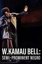 Watch W. Kamau Bell: Semi-Promenint Negro Wolowtube