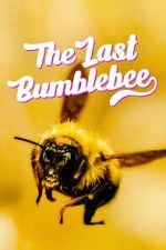 Watch The Last Bumblebee Wolowtube