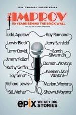 Watch The Improv: 50 Years Behind the Brick Wall (TV Special 2013) Wolowtube