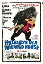 Watch Hillbillys in a Haunted House Wolowtube
