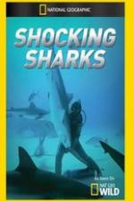Watch Shocking Sharks Wolowtube