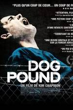 Watch Dog Pound Wolowtube