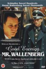 Watch Good Evening, Mr. Wallenberg Wolowtube