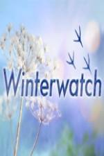 Watch Winterwatch Wolowtube