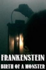 Watch Frankenstein: Birth of a Monster Wolowtube