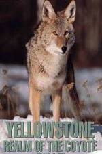 Watch Yellowstone: Realm of the Coyote Wolowtube