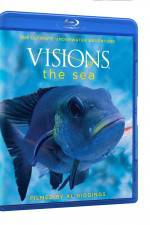 Watch Visions of the Sea Wolowtube
