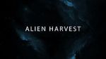 Watch Alien Harvest Wolowtube