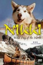 Watch Nikki Wild Dog of the North Wolowtube