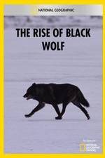 Watch The Rise of Black Wolf Wolowtube