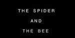 Watch The Spider and the Bee Wolowtube