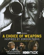 Watch A Choice of Weapons: Inspired by Gordon Parks Wolowtube