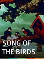 Watch The Song of the Birds (Short 1935) Wolowtube