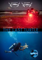 Watch The Last Turtle (Short 2019) Wolowtube