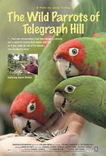 Watch The Wild Parrots of Telegraph Hill Wolowtube