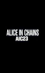 Watch Alice in Chains: AIC 23 Wolowtube