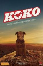 Watch Koko: A Red Dog Story Wolowtube