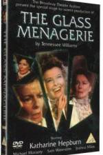 Watch The Glass Menagerie Wolowtube
