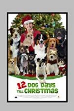 Watch 12 Dog Days Till Christmas Wolowtube