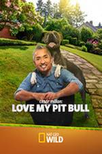 Watch Cesar Millan: Love My Pit Bull Wolowtube