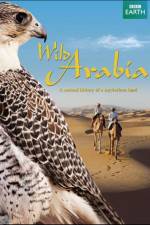 Watch Wild Arabia Wolowtube
