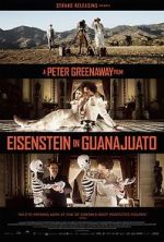 Watch Eisenstein in Guanajuato Wolowtube