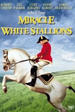 Watch Miracle of the White Stallions Wolowtube