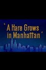 Watch A Hare Grows in Manhattan Wolowtube