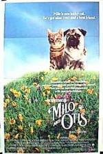 Watch Milo & Otis Wolowtube