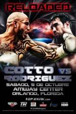 Watch Miguel Cotto vs Delvin Rodriguez Wolowtube