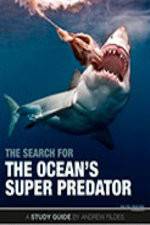 Watch The Search for the Oceans Super Predator Wolowtube