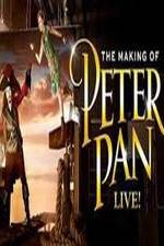 Watch The Making of Peter Pan Live Wolowtube