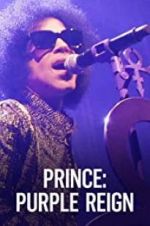 Watch Prince: A Purple Reign Wolowtube